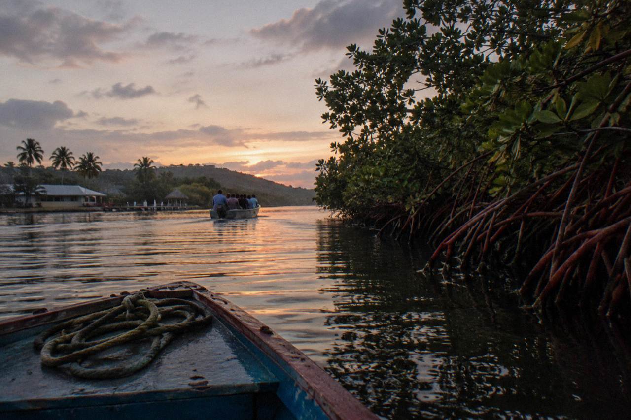 A wooden tour boat on calm dark water at dusk with mangroves along the shore