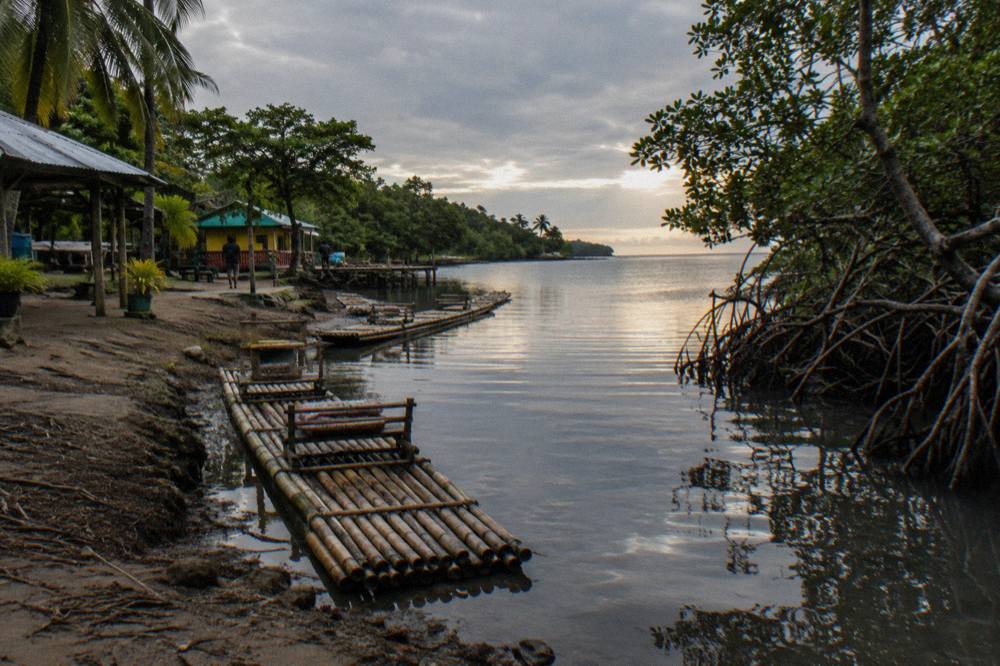 Calm shallow lagoon water reflecting a dark evening sky near mangrove roots