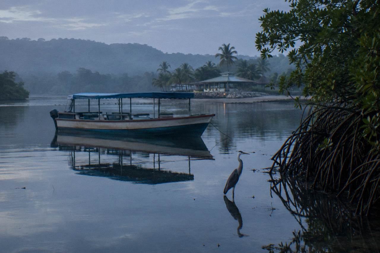 A wooden tour boat resting on calm dark lagoon water beside mangroves at dusk