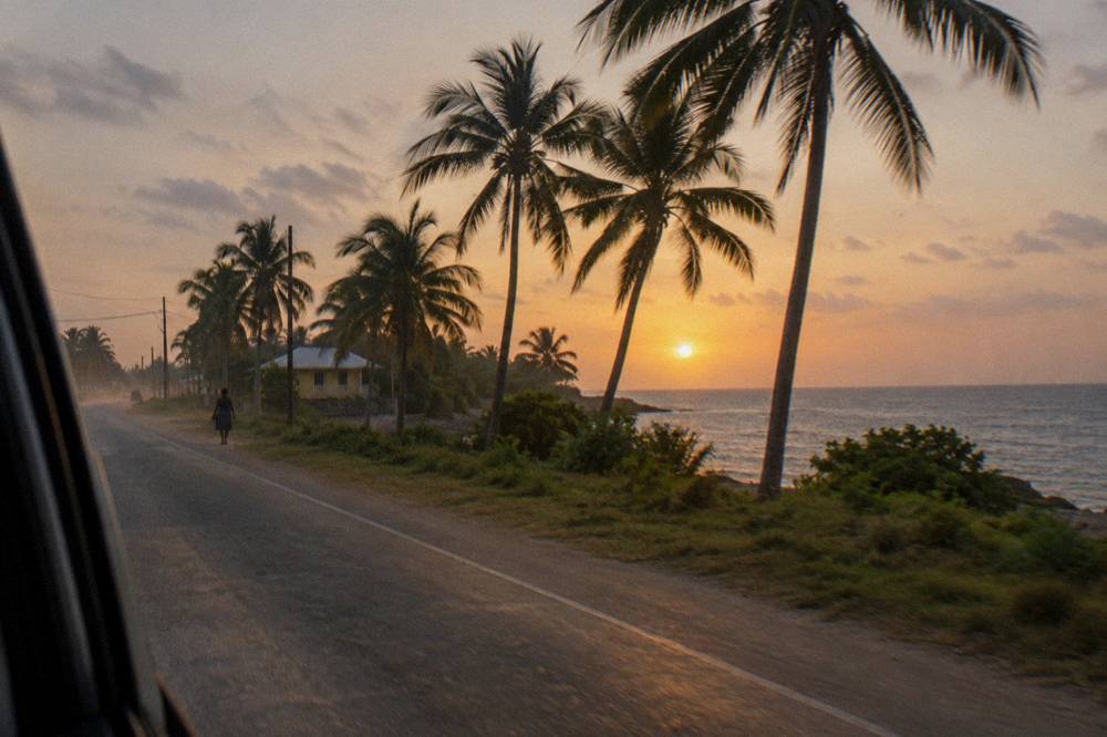 A coast road at dusk with palm trees and dark sea on the horizon seen from a vehicle window