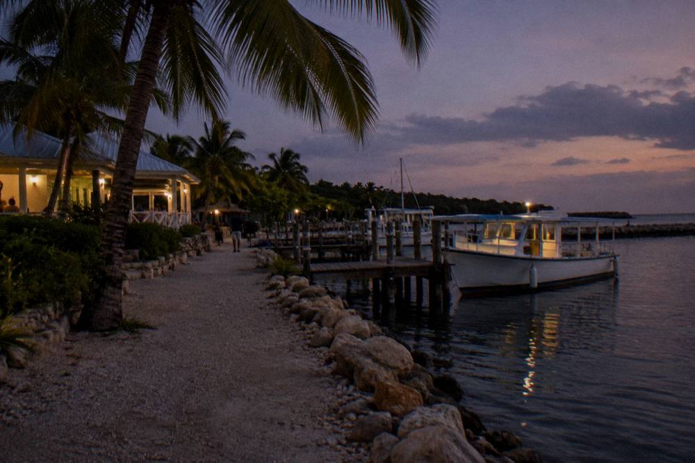 A small lit tour boat docked at a marina at dusk with darkening sky