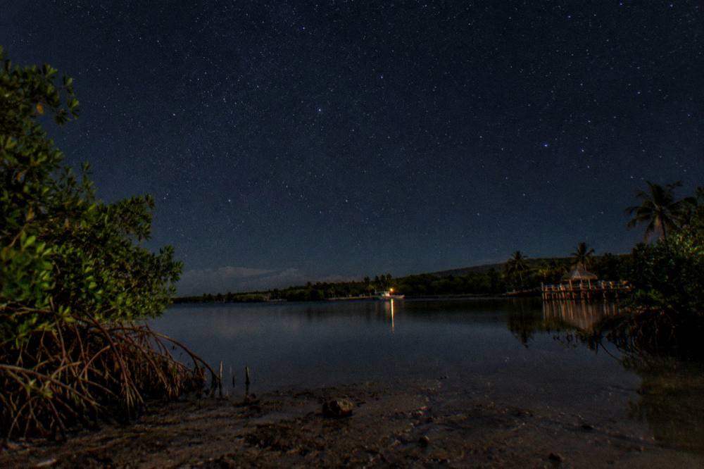 A wide night sky full of stars above silhouetted mangroves and still water