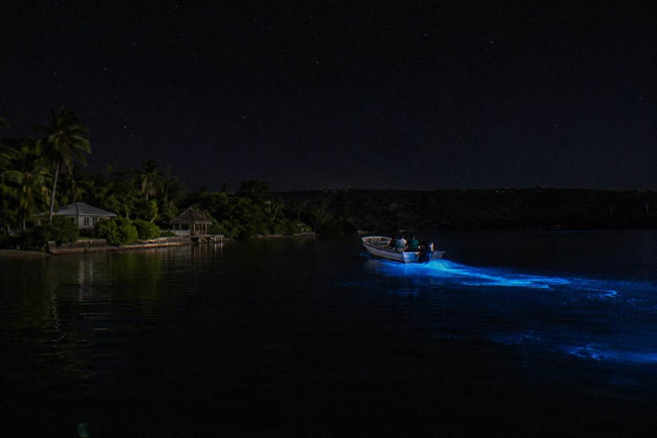 A calm lagoon at night with a dark sky above still water and mangroves along the shore