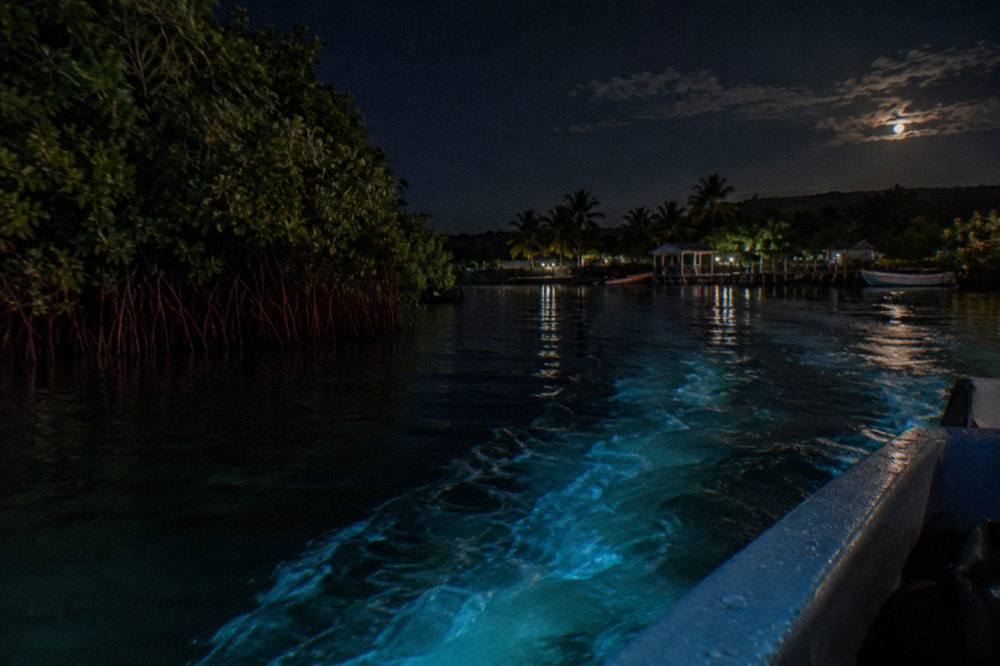 A night boat ride on a calm lagoon with soft blue green trails in the water behind the hull