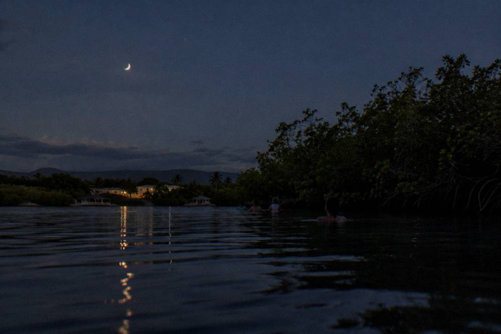 A dark night sky with a thin crescent moon over calm water