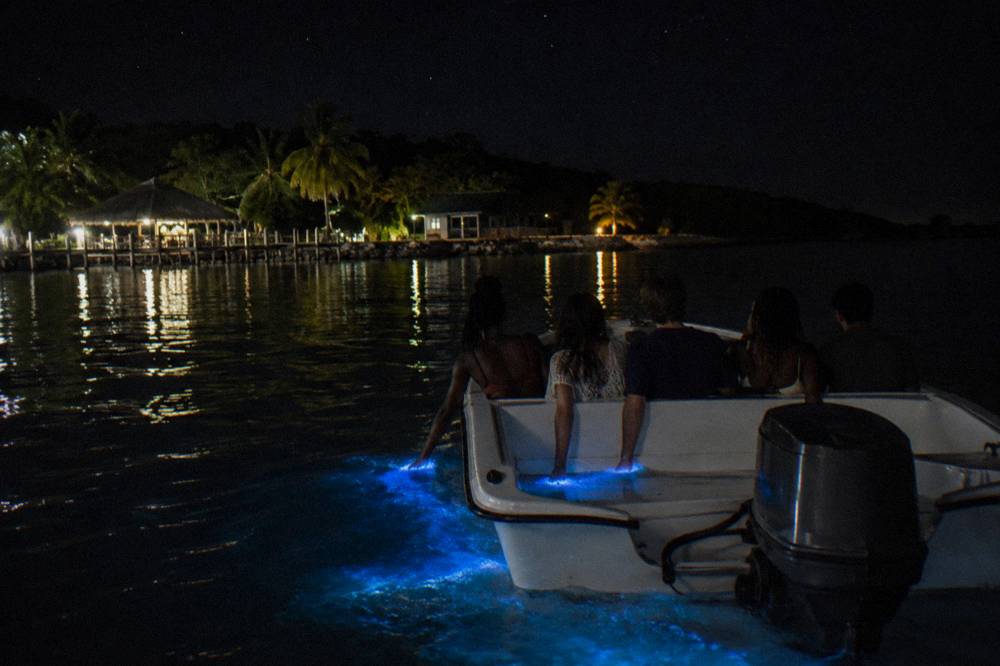 Passengers on a motorboat at night with their hands in glowing blue water