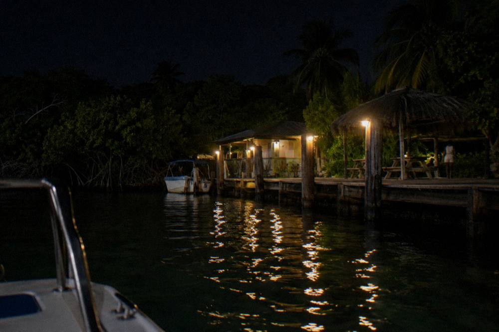 A wooden boat dock lit by warm lamps along a dark mangrove shoreline