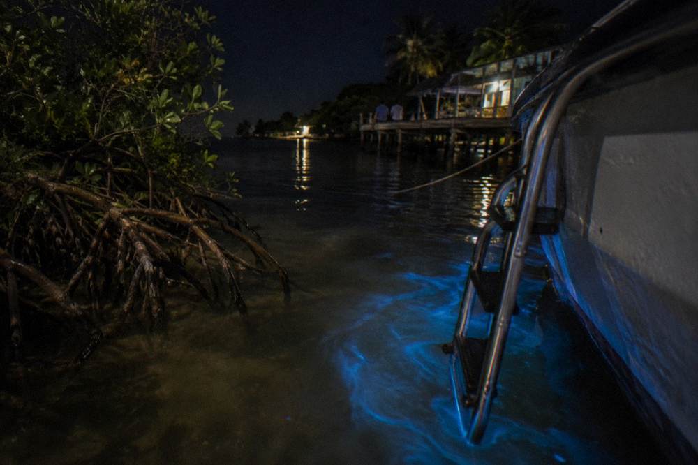 Calm shallow lagoon water reflecting faint blue light near a boat ladder