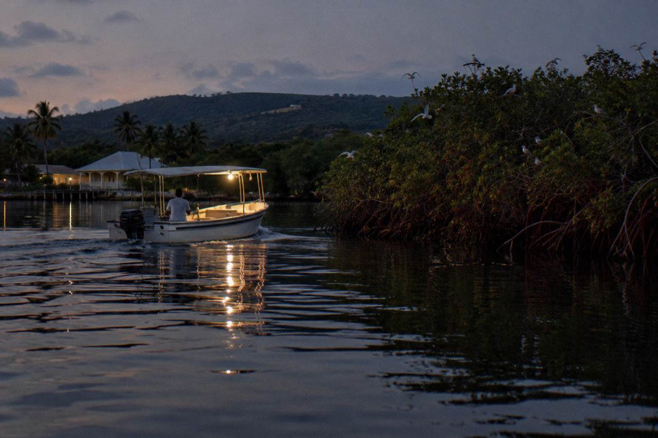 A small lit boat crossing dark calm water beside mangroves at nightfall