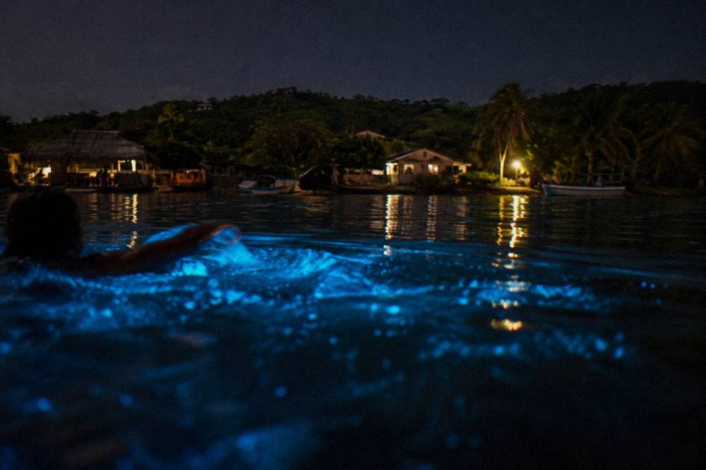 Glowing blue ripples spreading from a swimmer's arm moving through dark water at night