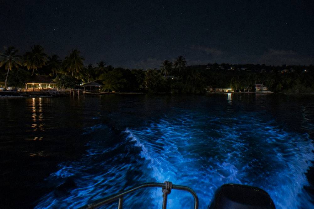 A tour boat wake glowing bright blue against black water under stars
