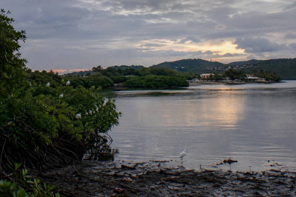 A calm estuary at dusk with distant hills and still darkening water