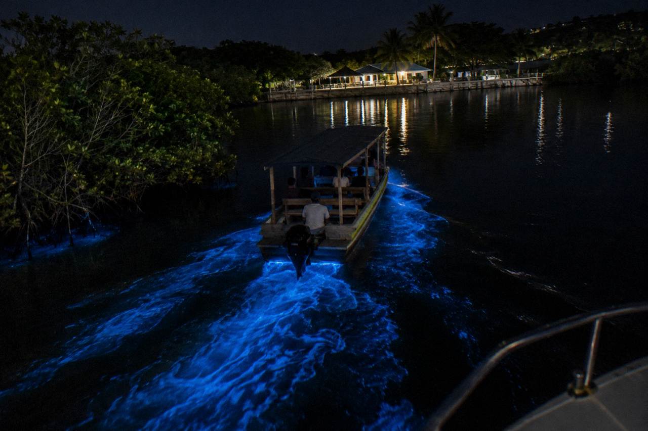 A wooden boat cutting through glowing blue water at night, the wake lit by bioluminescence