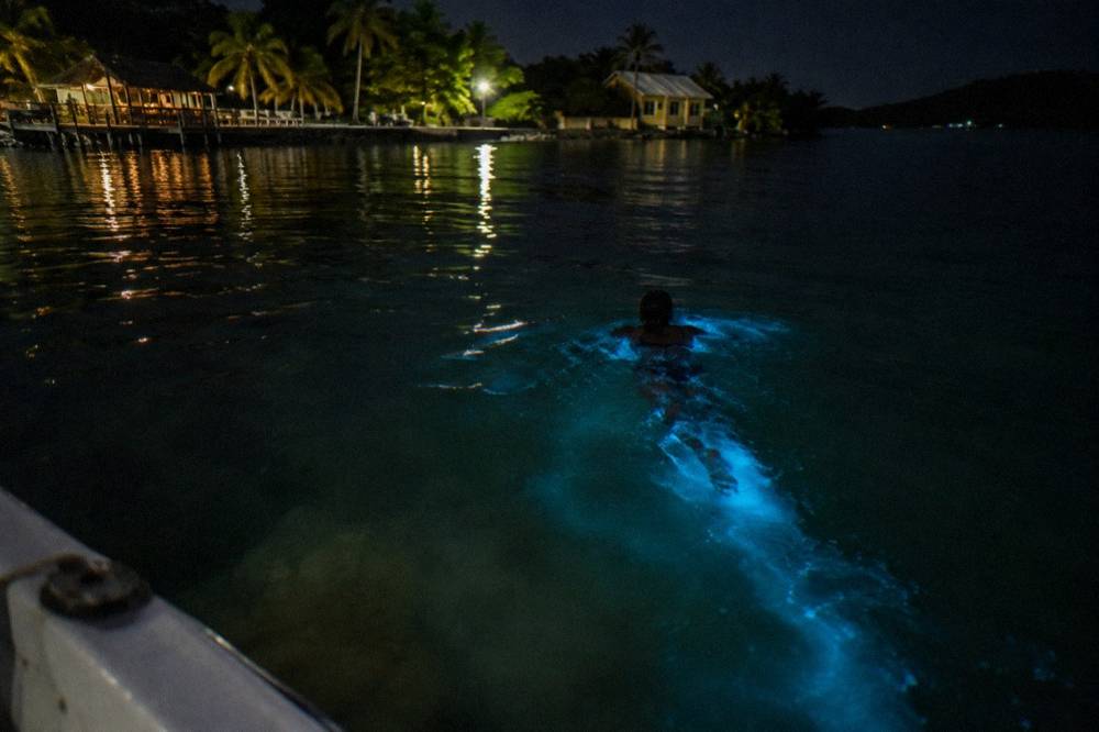 Still lagoon water at night with faint blue-green light trailing behind a moving shape