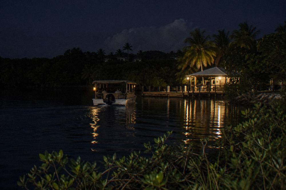A tour boat returning across dark water toward a lit dock at night