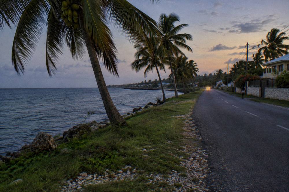 A coastal road at dusk with dark sea on one side and palm trees