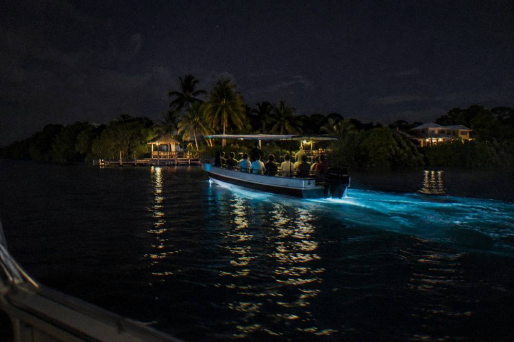 A lit tour boat crossing dark water with a faint blue glow trailing behind the hull
