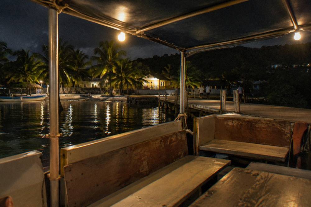A covered pontoon tour boat moored at a wooden dock under night lights