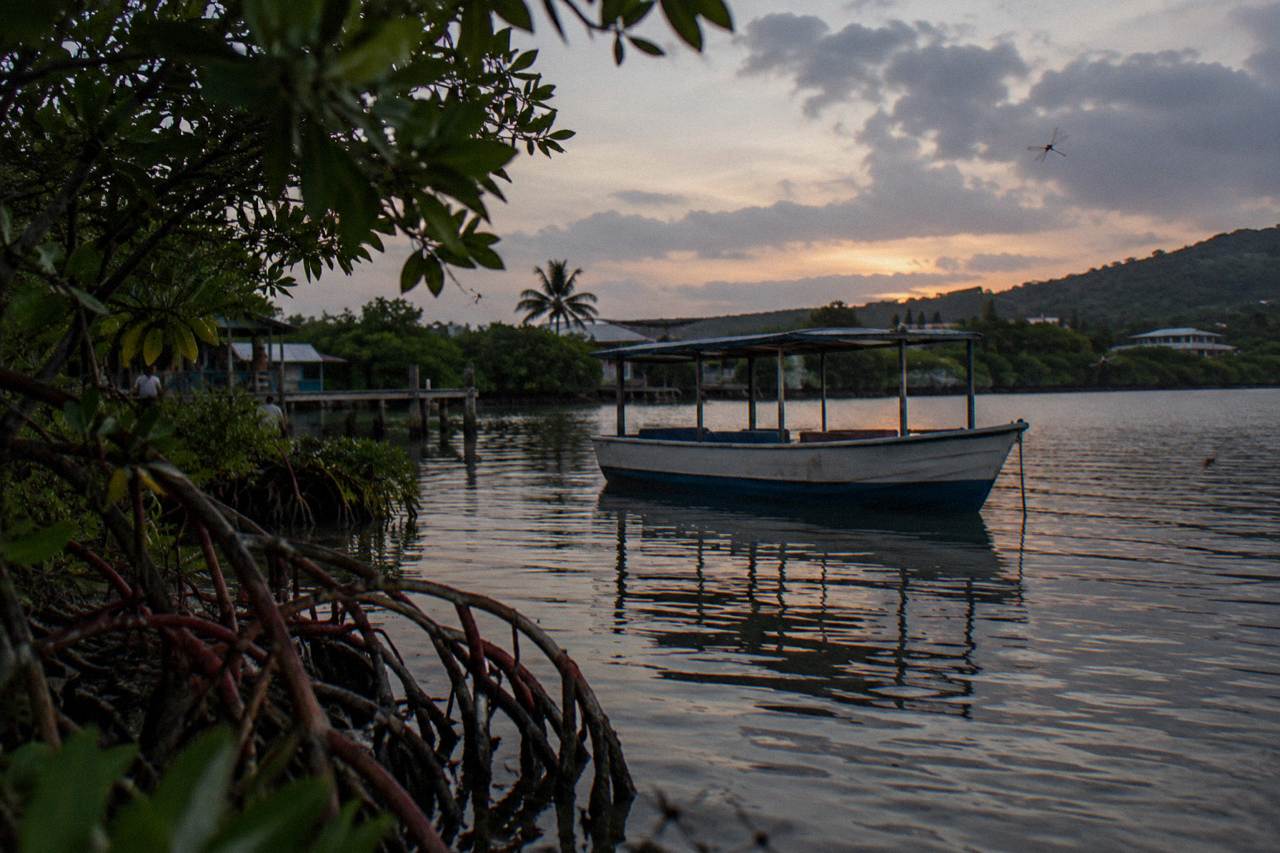 A wooden tour boat resting on a calm dark lagoon at dusk with mangroves along the shore