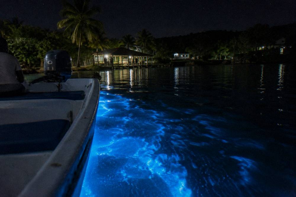 A wooden tour boat on a dark lagoon leaving a faint trail of light in the water